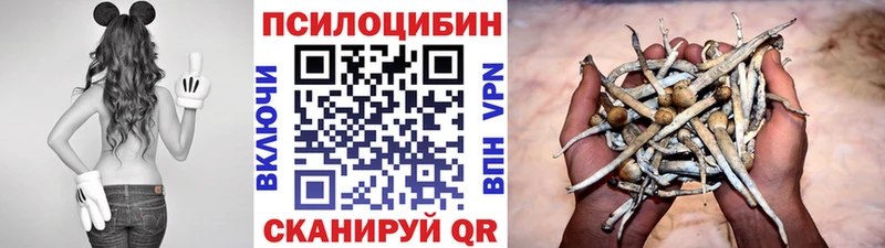 hydra как зайти  Фрязино  Псилоцибиновые грибы MAGIC MUSHROOMS  что такое  